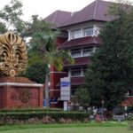 International University