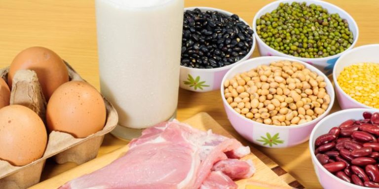makanan yang mengandung protein